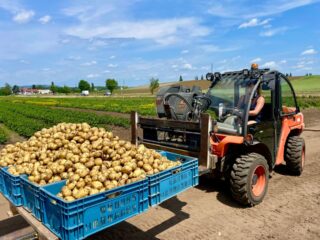 🥔 AKCE NA RANÉ BRAMBORY! 🥔

Na tento víkend jsme si pro vás připravili rané brambory za zvýhodněnou cenu 19 Kč/kg!

📅 Platí od soboty 13. 6. do neděle 14. 6.2026
➡️ Cena 19 Kč/kg při minimálním odběru 10 kg.
📍 Prodej probíhá u stánku během samosběru.

🍓 A nezapomeňte! 🍓🫛
Od čtvrtka 11. 6. do neděle 14. 6. probíhá samosběr jahod a hrachu.
🕗 Otevřeno každý den od 8:00 do 18:00
🍓 Jahody: 89 Kč/kg
🫛 Hrách: 69 Kč/kg

Těšíme se na vaši návštěvu! 😊

📍 Farmářská prodejna Doksany
🕒 Otevřeno denně: 7:00–19:00
📞 +420 774 355 047