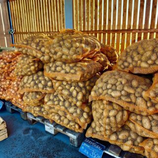 🥔🧅🧄 Hledáte ty nejchutnější brambory, cibuli, poctivý česnek nebo čerstvé krouhárenské zelí?

Tohle všechno právě teď najdete v naší farmářské prodejně v Doksanech.

A tím naše nabídka rozhodně nekončí! 
🎃 Halloween dýně – malé, velké i pořádné kousky na vyřezávání
🍁 Okrasné dýně – nejrůznější tvary, barvy a velikosti pro krásnou výzdobu domu, zahrady i stolu
🕯️ Dušičkové dekorace – pro krásnou vzpomínku na vaše blízké
🌸 Podzimní květiny – chryzantémy, vřesy, bramboříky, drátovce a další

🧺 A když už budete u nás, můžete si vybrat i z naší stálé nabídky plné dobrot. 
🧀 Farmářské mléčné výrobky
🥓 Salámy a uzeniny
🐟 Rybí speciality a pomazánky
🍯 Sirupy, punče, med, BIO čaje, exotické yuzu, chai latte
🥜 Čerstvé ořechy
🍎 Poctivé mošty
🥖 A každý den čerstvé pečivo

🎃 Dýni na Halloween, květiny na Dušičky, něco dobrého na stůl nebo jen inspiraci pro podzimní výzdobu? U nás si vyberete.

📍 Farmářská prodejna v Doksanech
🕒 Otevřeno každý den 7:00–19:00
📞 774 355 047
