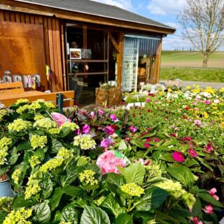 🌻🌷🐣 Velikonoce na farmě v Doksanech 🐣

Přijďte si užít jarní atmosféru plnou chutí, vůní a barev! 💛 

🌿 Čeká na vás: 
🍺 Zelené pivo pro sváteční náladu 
🐑 Tradiční velikonoční beránci a voňavé mazance 
🌼 Krásné jarní dekorace pro váš domov 

 A samozřejmě to nejlepší z naší farmy: 
🌺 Sazenice jahod, bylinek, drobného ovoce i květin 
🍇 Čerstvé a chutné ovoce a zeleninu
🧀 Farmářské mléčné výrobky
🍷 Bio čaje a koření, pivo, víno, mošty, limonády
🥓 Výborné uzeniny, salámy, rybí saláty, pomazánky, marmelády, sirupy, med a další dobroty
🥨 Každý den čerstvé pečivo a zákusky

☕️ Zpříjemněte si návštěvu naší prodejny nabídkou na kávu a zákusek, podle vašeho výběru za pouhých 49,- Kč. 

🌷 Ať už slavíte Velikonoce, nebo si jen chcete užít jaro, u nás si určitě vyberete. 

Těšíme se na vás 💚

📍 Farmářská prodejna Doksany
🕒 Otevřeno denně: 7:00 – 19:00
📞 +420 774 355 047
👉 O svátcích máme také otevřeno