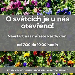 📍 Farmářská prodejna Doksany
🕒 Otevřeno denně: 7:00 – 19:00
📞 +420 774 355 047
