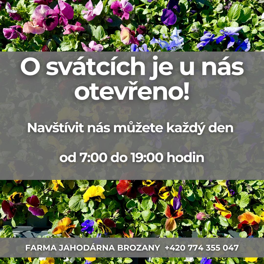 📍 Farmářská prodejna Doksany
🕒 Otevřeno denně: 7:00 – 19:00
📞 +420 774 355 047